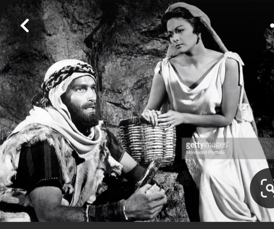 Screenshot_20240203_155305_Pinterest