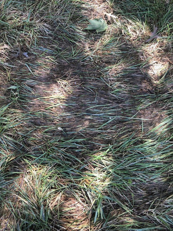 C95F2A52-870F-4BDC-8747-CE1D781C416B