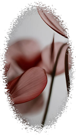 c7fdad752068fc04dfba681f10cb4104