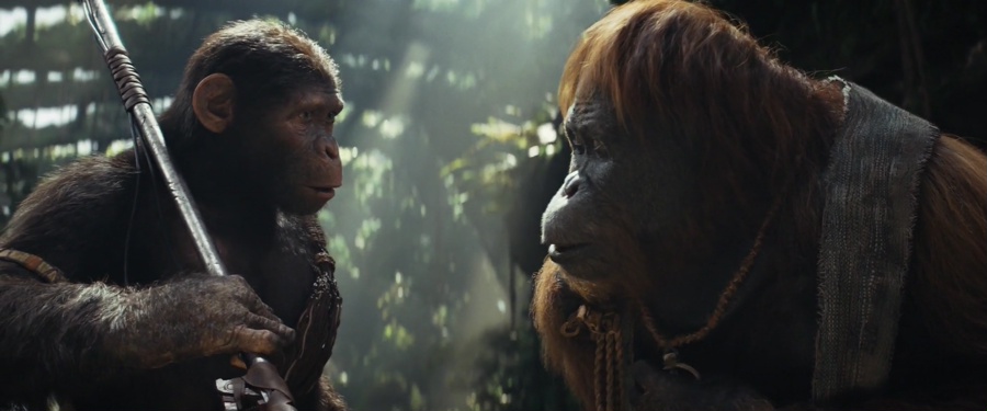 Kingdom of the Planet of the Apes 2024 WebRip [Hindi + Tamil + Telugu + English] 480p, 720p, 1080p ESub Screenshot