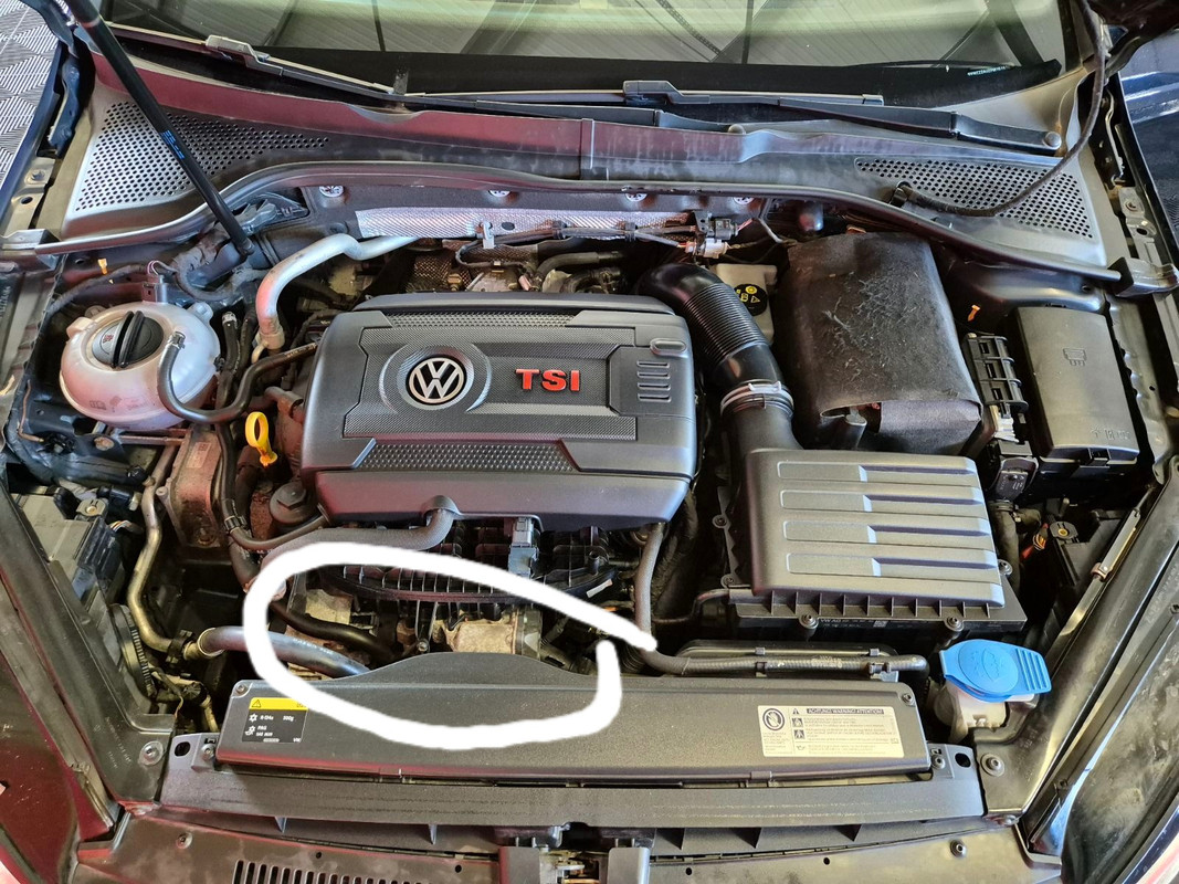 IMG_20240902_124929(1)