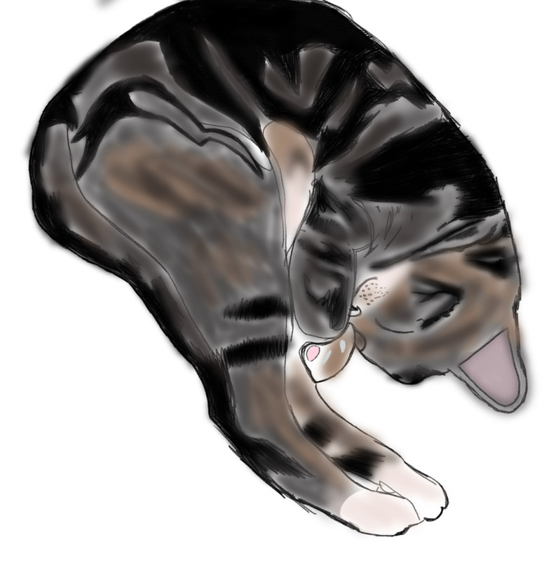 598C8C41-65E5-494E-9481-8F76D0F4FC99