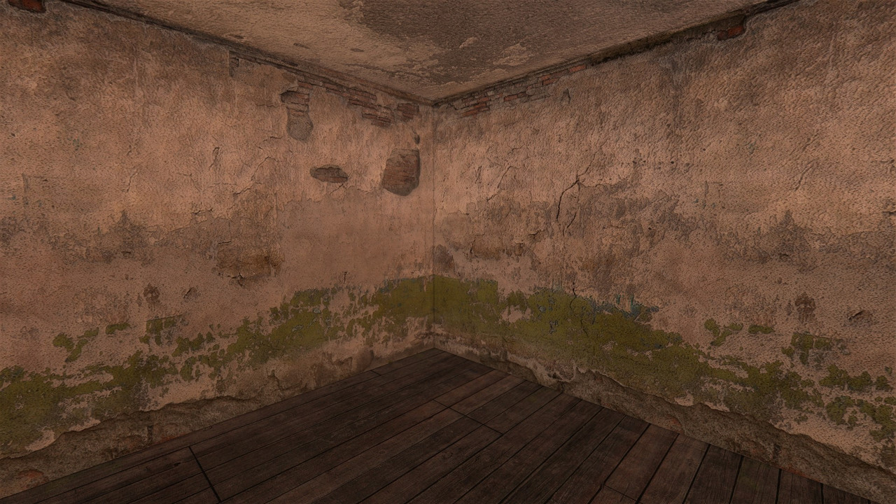 ss_professional_08-15-25_19-30-38_(l01_floodplant)