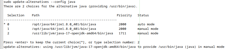 NYK-01-sudo-update-alternatives-config-java