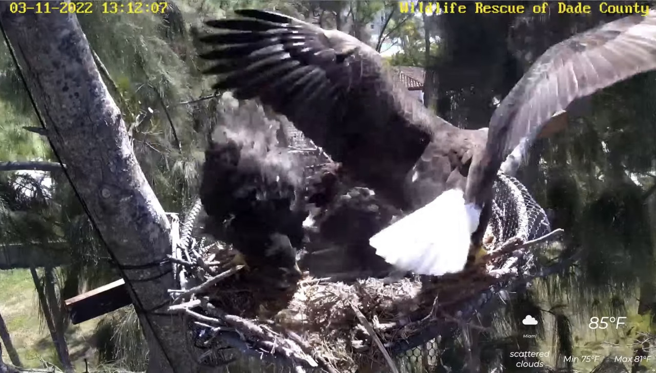 83BC94DB-8F79-4247-90CF-585B10866B47