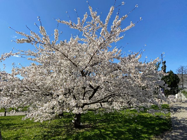 E1-D359-F1-D465-4735-862-F-CA289-B482-A7