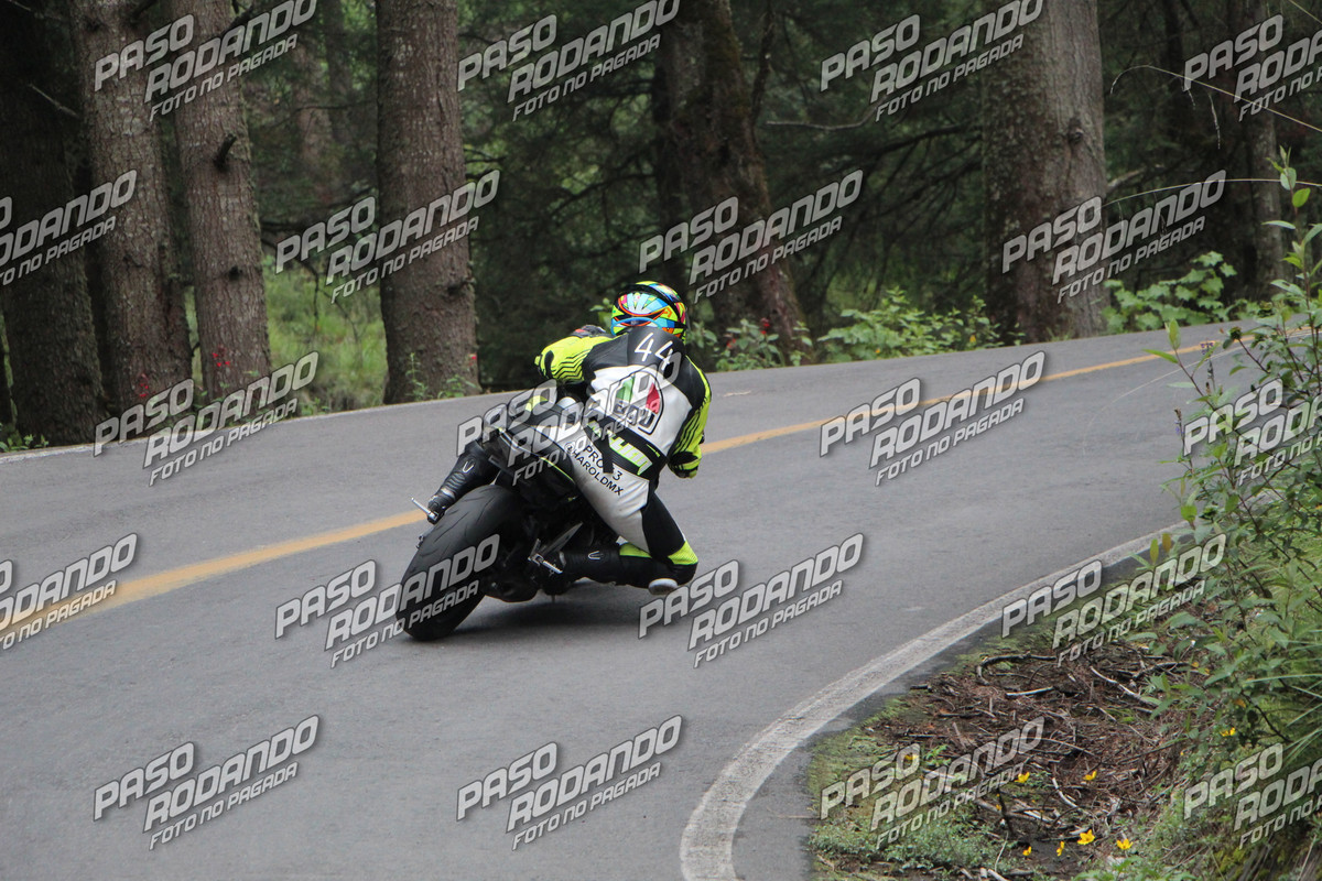 IMG 6209 wm 813293 5 watermarked — Postimages