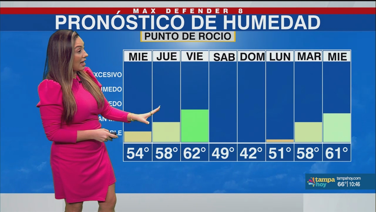 Noticias Tampa Hoy_20250409_03300400.ts_snapshot_17.40.411