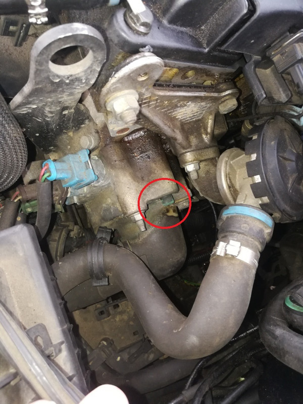 Thermostat-Xantia-markiert.jpg