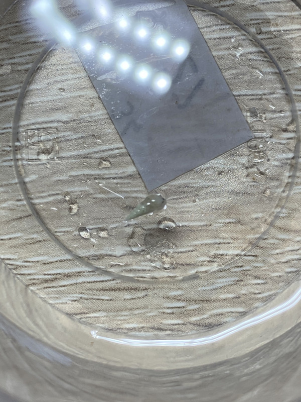 776D4241-E2C5-4027-9C62-D15816B4F1CB