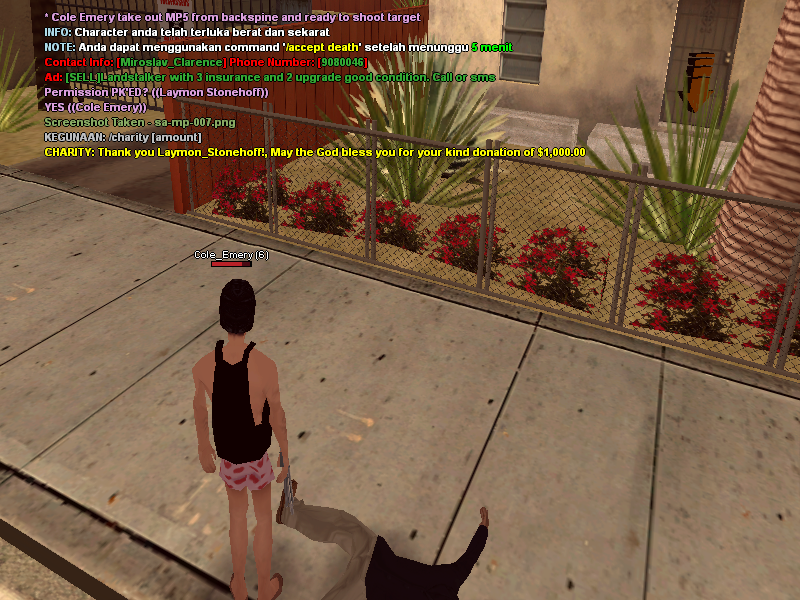 sa-mp-008.png