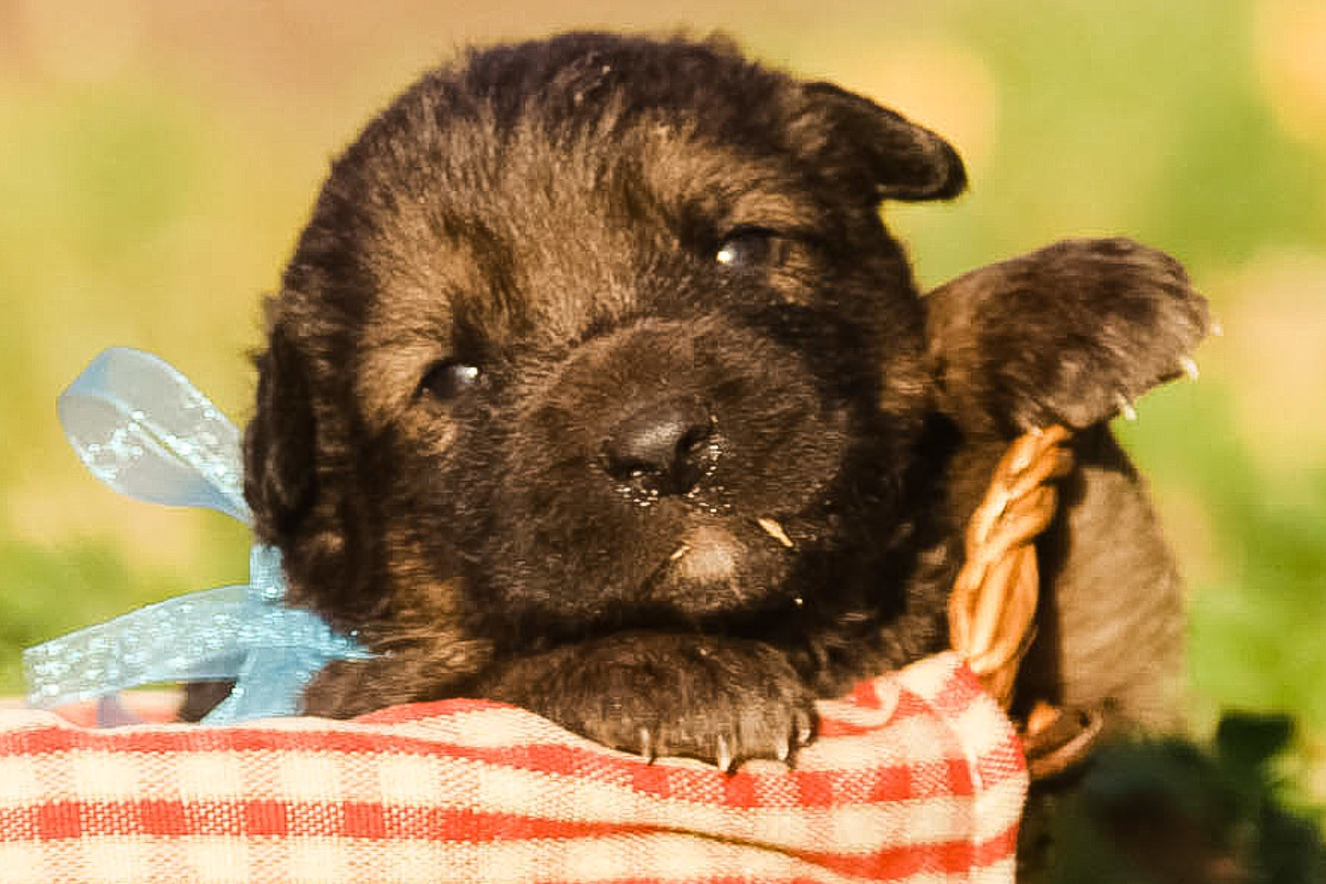 6172D903-CA53-4612-AD99-EC9A1FBA4340