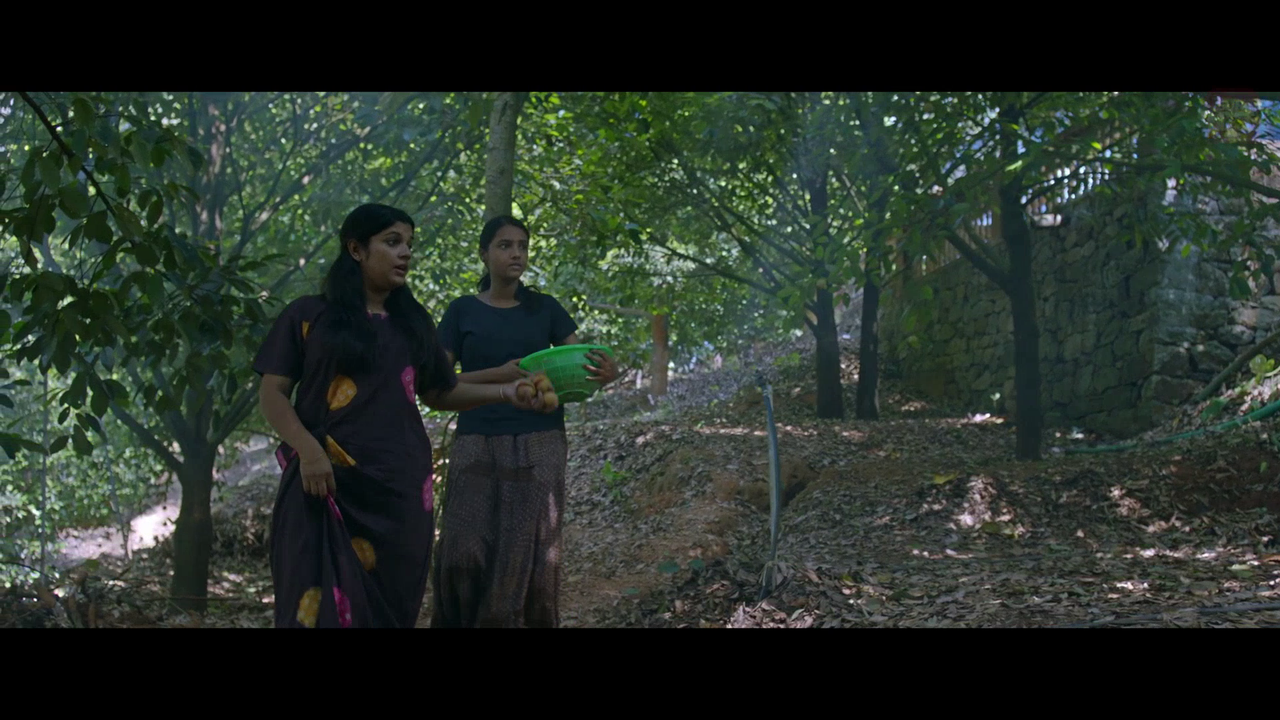 vlcsnap 2026 02 11 15h43m54s681