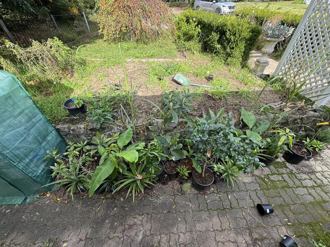 3416E5D1-D06E-4803-B3EB-7CF0DEF45817