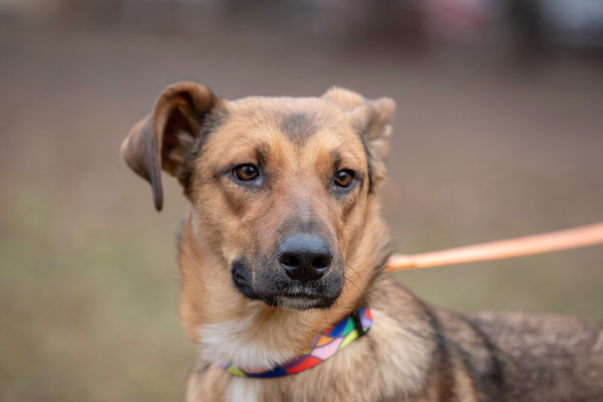 изображение_viber_2022-01-20_12-15-05-123