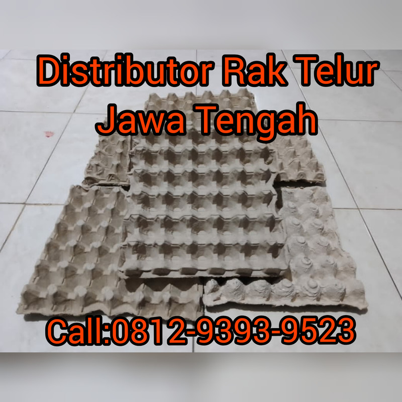 TERBAIK, CALL: 0812-9393-9523, Harga Rak Telur Kertas Deiyai