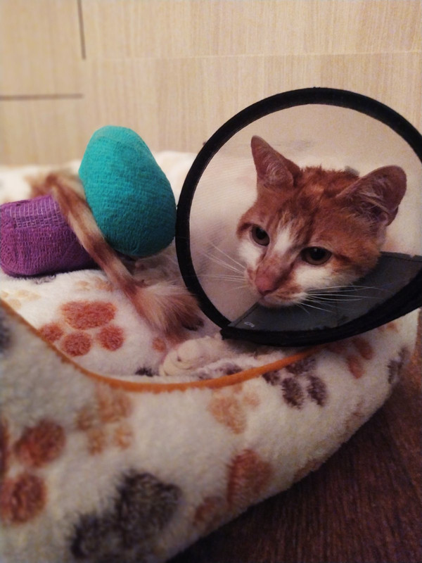 D72A1472-B398-46DC-AE48-991278505E5D