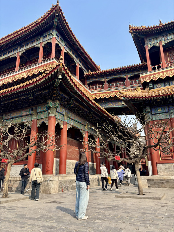 Día 17: Pekín. Templo de los Lamas, Templo del Cielo y hutongs - Disfrutando de China por libre en 18 días (Marzo 2026) (2)