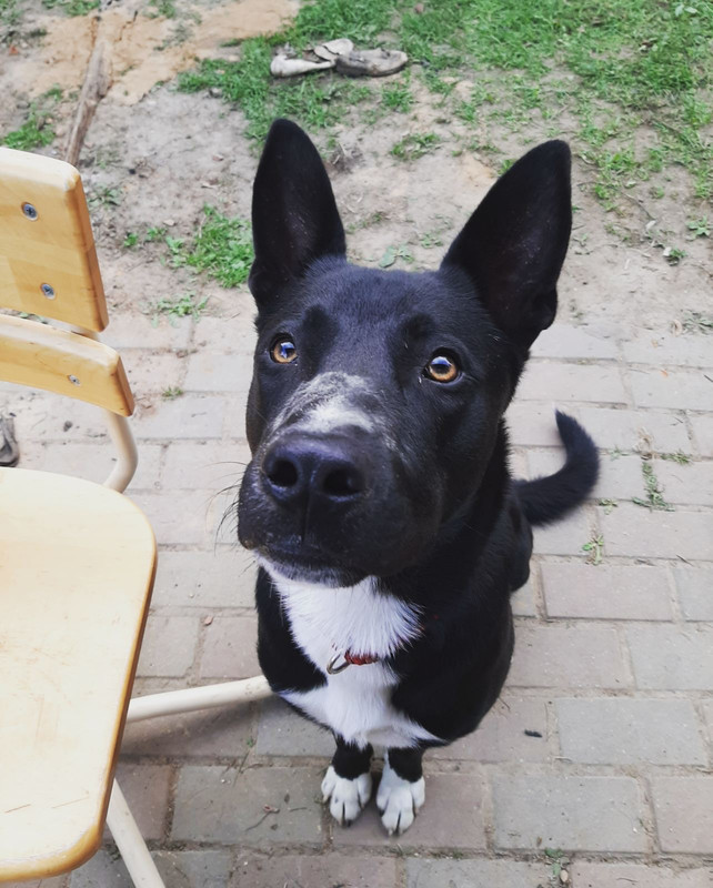 0EEB4C6B-9701-4CE7-90FB-F715594FC16F