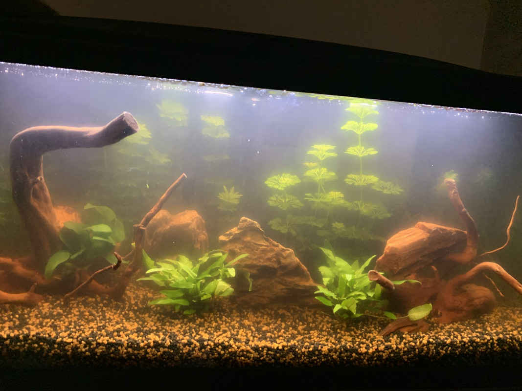 365A1690-DFA0-48B8-834D-E3A33641319F