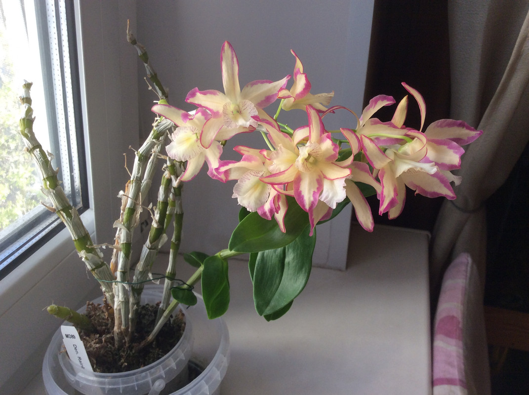 D23E78D5-EB18-4957-8EB0-B3482B0CE741