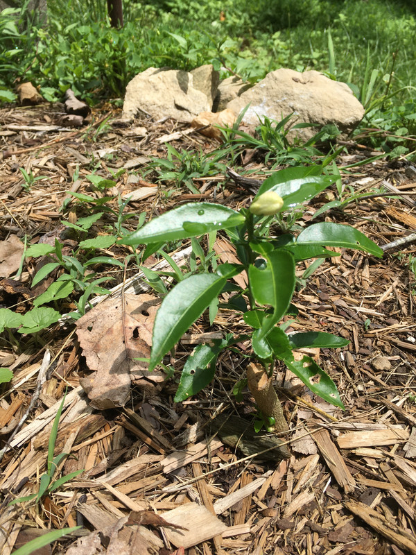 BCF361D8-48F7-4060-B2D2-9F2F0CAC9BAC