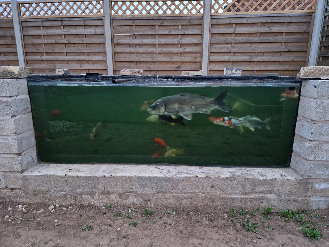 16566219584654898676649198569317