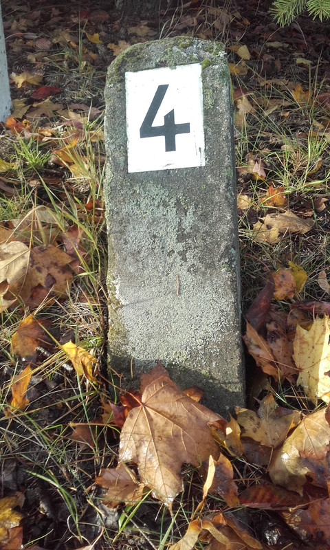 20161108_093452