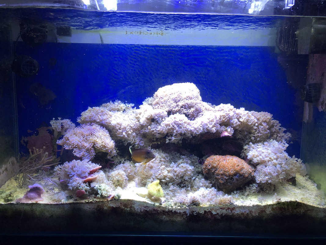 AB4AB9E3-753D-4798-9514-83053D6CB4EC