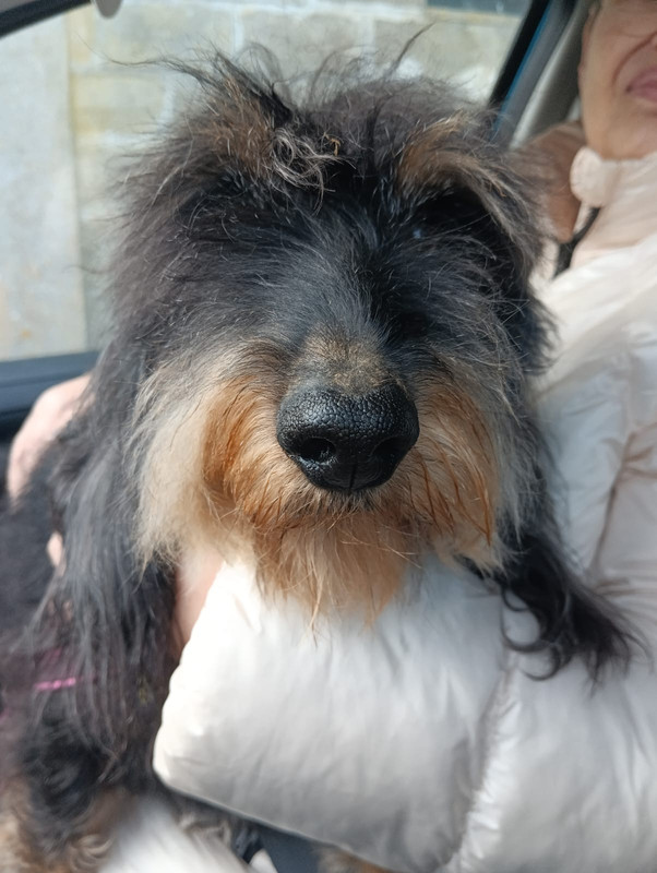 [Image: IMG-20250304-WA0001.jpg]