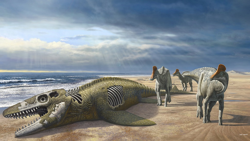 53539498830_65a860621c_b