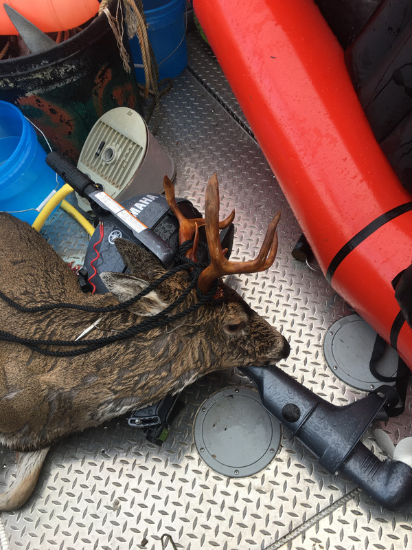 BA325ADB-6643-4880-A5D6-23BAD4D8D399