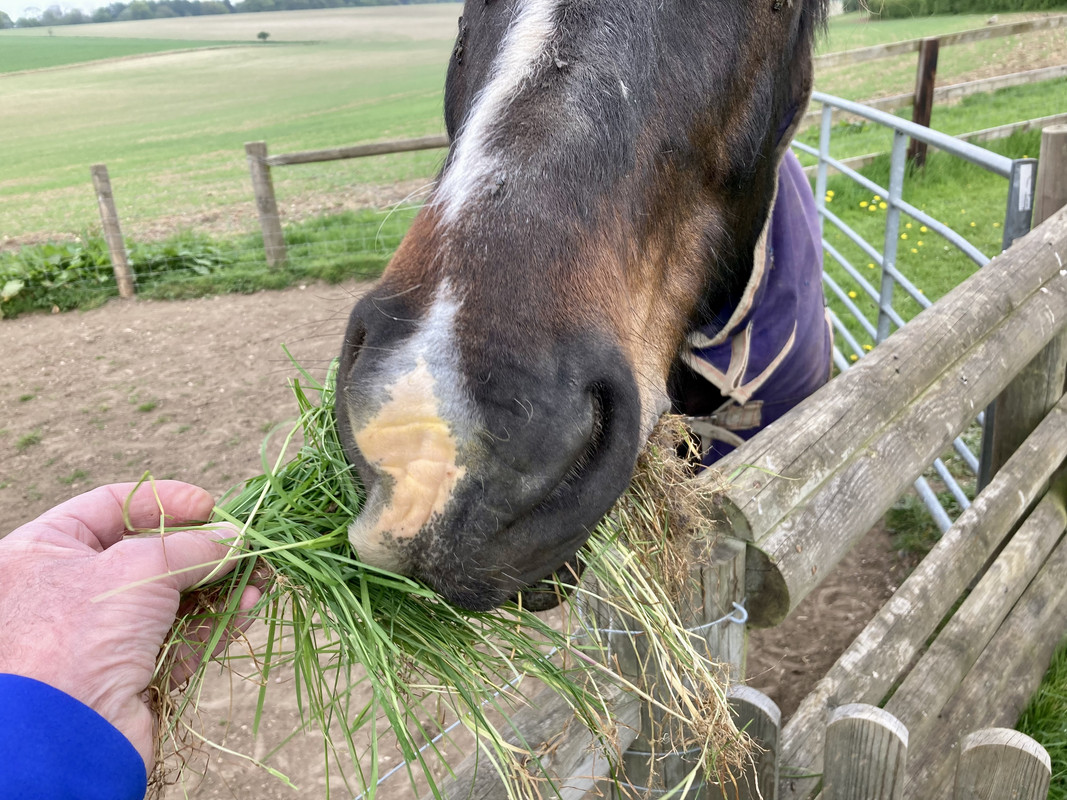 CFD189EF-AA88-40DA-B92B-ABA44CF9D346