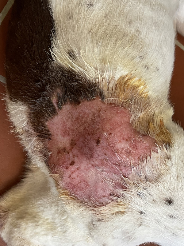 14FB9D2E-C606-469F-A59C-43300860FCD8