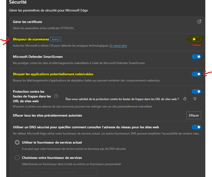 Capture d’écran 2025-02-01 055723