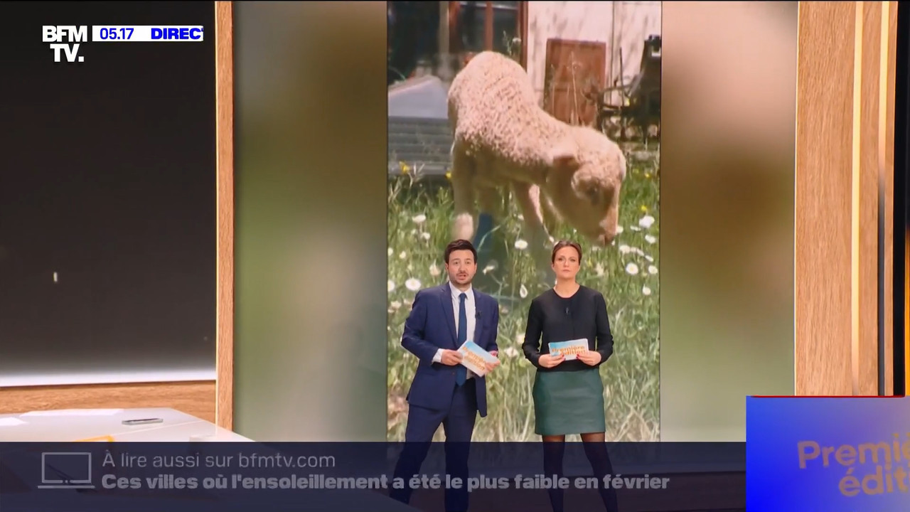 BFMTV Pauline 070324.mp4_snapshot_00.52.47.437