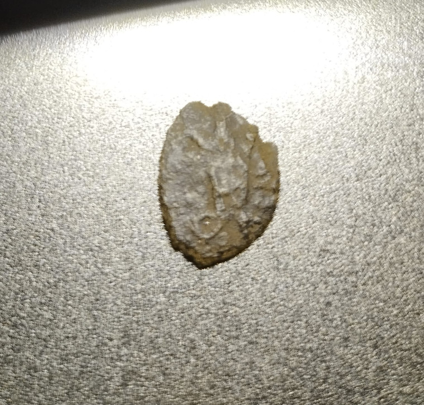 D89B5D70-56AB-4DCB-85DB-50C4DC5CD516