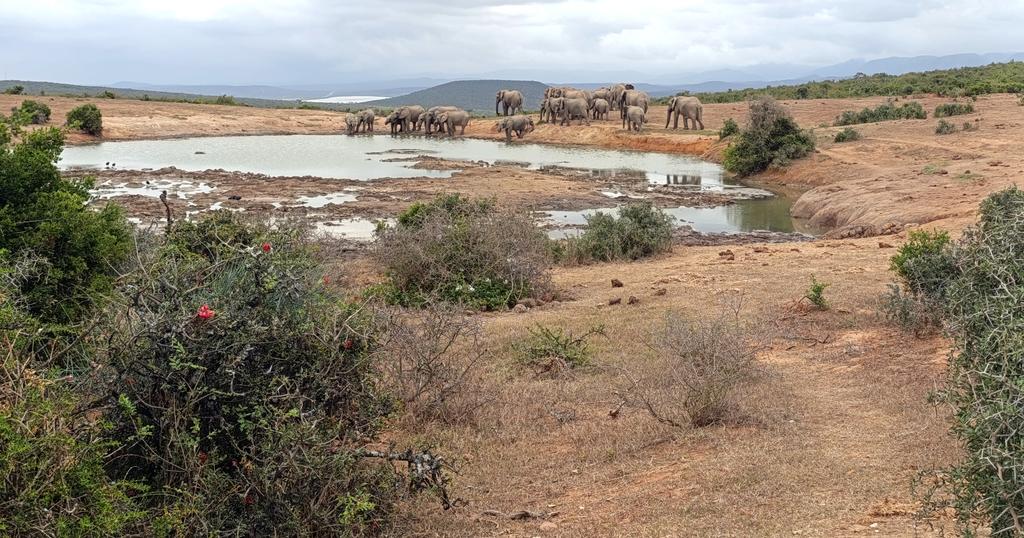 Такая близкая Африка. (ЮАР. 22 дня и 4200 км. Ноябрь-Декабрь)