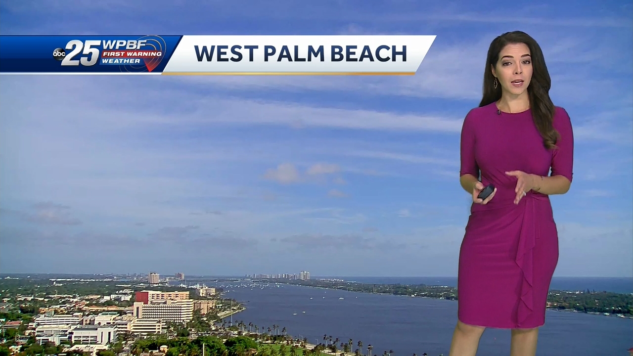 10.07 - 14.00.00 - WPBF 25 News at 9 00 AM..ts_snapshot_00.50.10.031