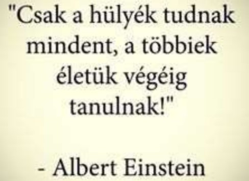 https://i.postimg.cc/j2TC0L3N/csak-a-hulyek.jpg