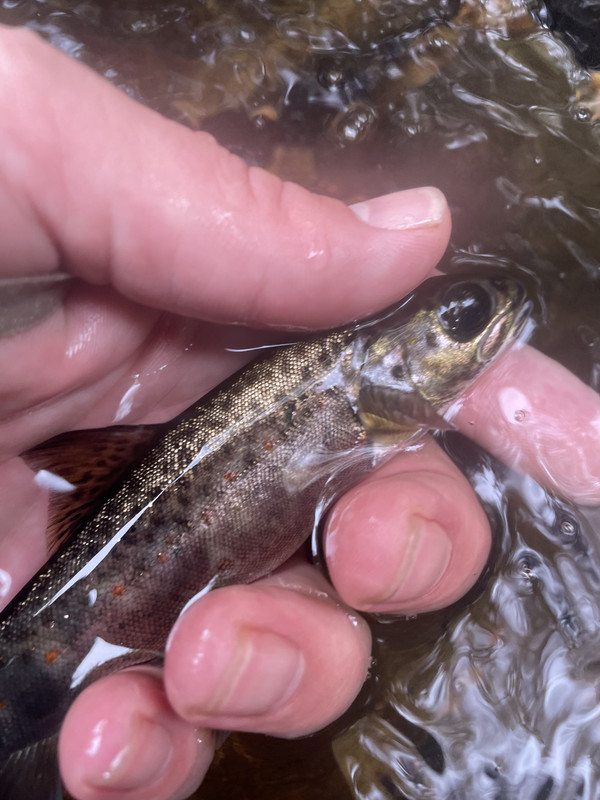 1C3BA21A-91EE-45E2-9CF3-7BD594226A14