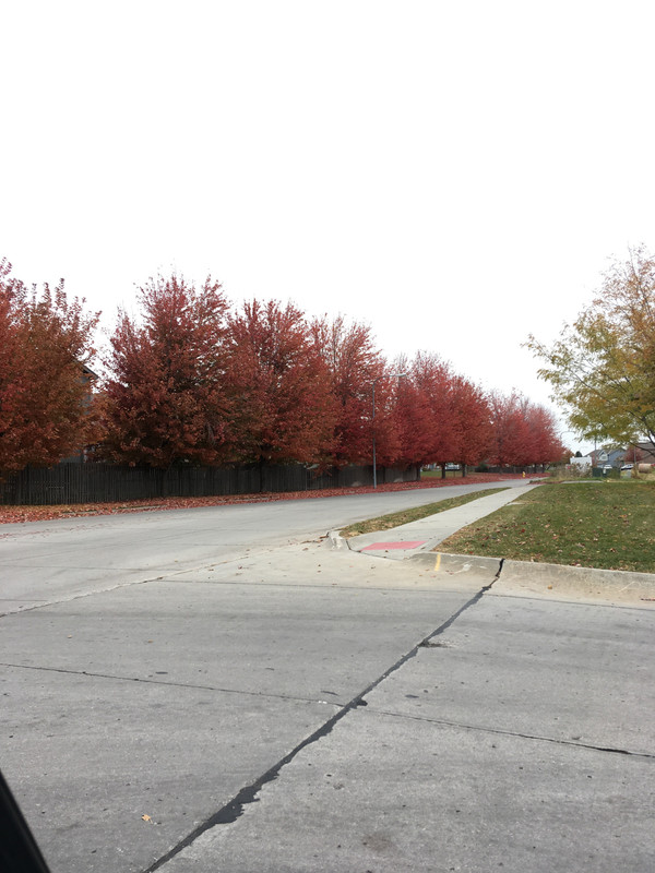 B4C7690D-CB91-459C-B382-12F1FB427CD7