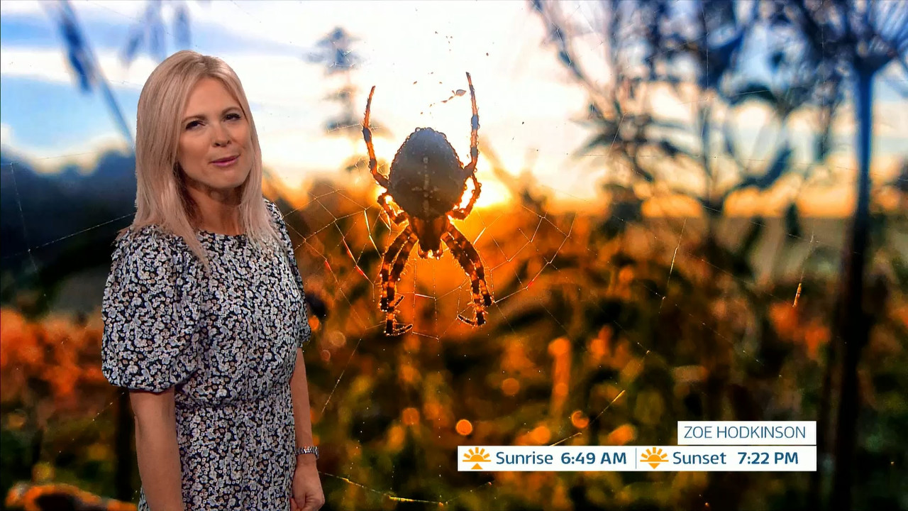 09.17 - 18.00.00 - ITV News London. The latest news in London and the....ts_snapshot_19.16.099