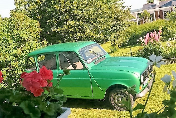 Montrichard et Amboise juin 2013 001