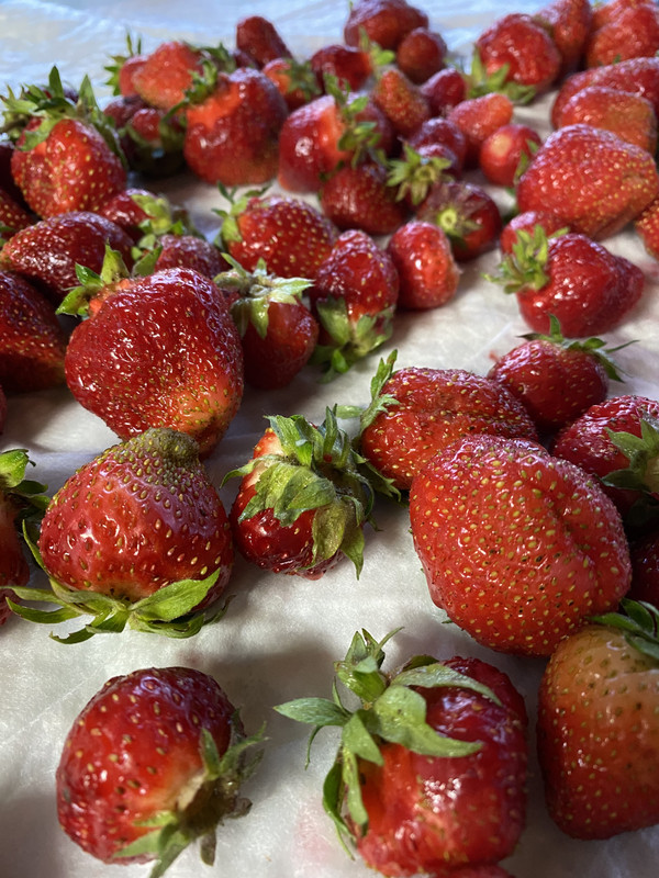 02DBAC05-D3E6-453E-AF7B-1FD9A29C10FC