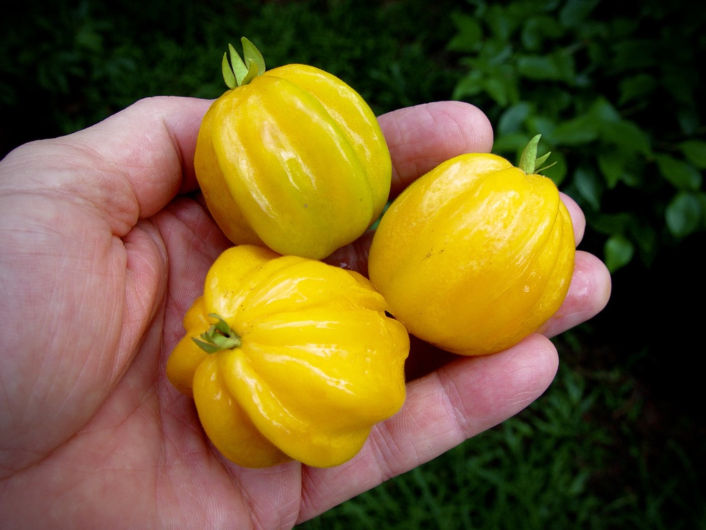 1F3DF65A-3081-4D46-87A5-4158973ABE4D_1_105_c