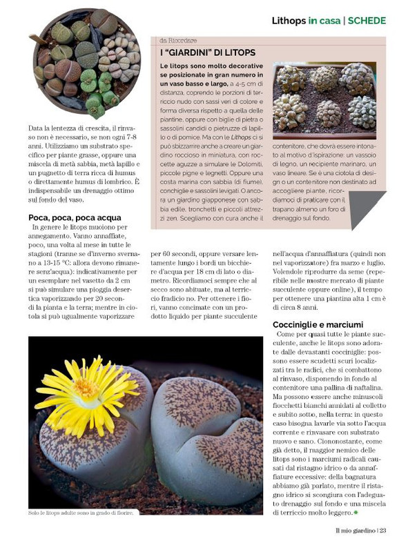 Il Mio Giar Ago-Set 2023 (2)