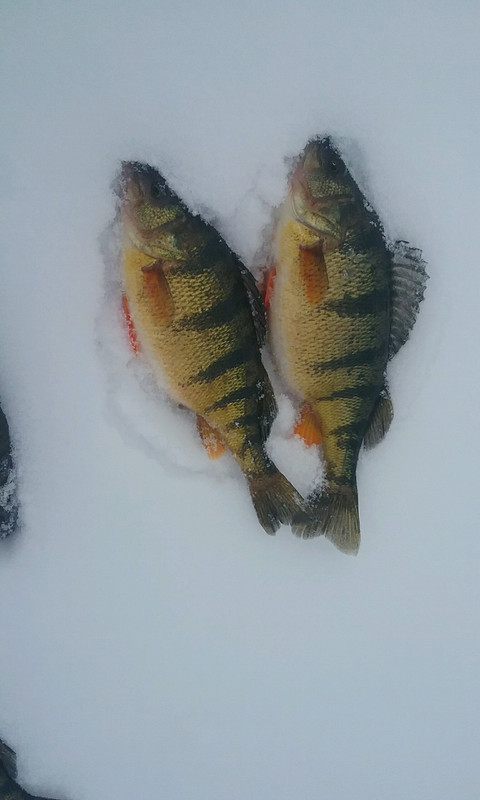 H 2 biggest 3-1-19