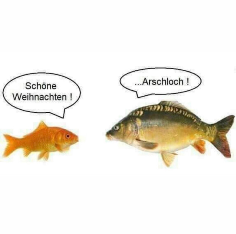 F72A02C1-A810-452F-8149-29926E7B5CC9