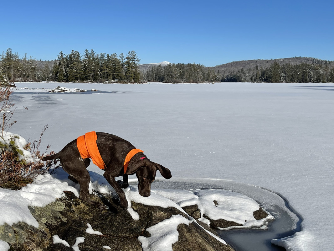 CDC1A021-8389-4EFA-9E17-896CA534461A